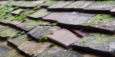 Rainworth roof repair costs